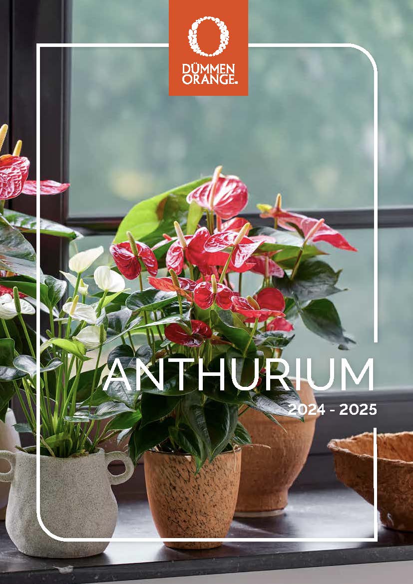 Catalogs Dümmen Orange